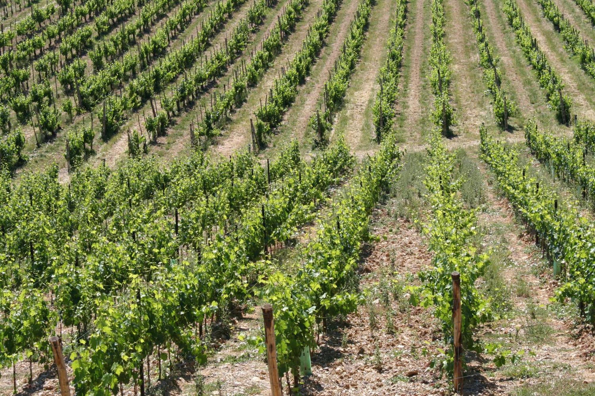 Bed and breakfast Le Terrazze Del Chianti Residenza D'epoca E Di Charme 3*